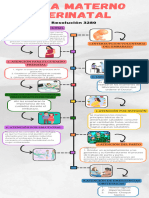 Infografia Ruta Perinatal