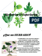 Verde Ilustrado Hierbas Cocina Etiqueta