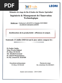 Rapport PFE IMITech Soukayna&Oumnia