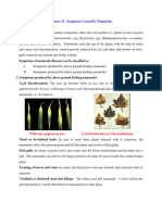Symptoms Caused by Nematodes