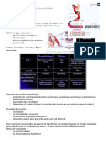 CM Physiologie Musculaire