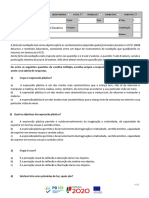 10658-Ficha de Avaliação Sumativa