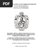 Riesgo Psicosocial en Personal de Enfermería de Un Servicio de Emergencia Hospitalario