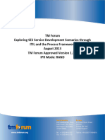 TR206 Exploring SES Service Development Scenarios Through ITIL and The Process Framework v1.3