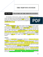 Reading 7 The Nervous System