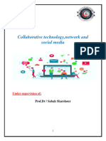 Collaborative Final PDF