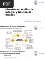 Clase 2 Auditoría Operativa 23 11 23