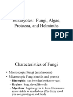 Eukaryotic Diseases - 06