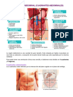 Topografia Abdominal