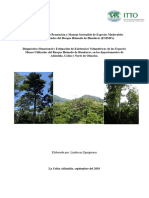 INFORME FINAL Diagnostico y Estimcion de Existencias