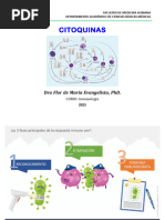 T.2.2 - Citoquinas - Dra. Flor Evangelista. 2023