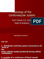 Histology of The Cvs