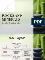 Rocks and Minerals 1