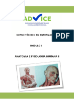 7-Anatomia II