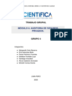 Trabajo Grupal - Auditoria de Seguros Privados