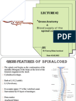 Blood Supply of Spinal Cord... 2022