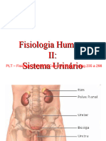 9 Fisiologia Renal