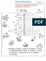 Ficha - Sesion 2 - Unidad 6. Animales Invertebrado. 1° de Octubre.