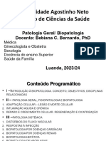 1 - Aula 1 - Introdução A Patologia Geral - Processo Patológico