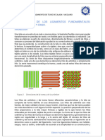 2.1 - Identificación de Los Ligamentos Fundamentales Tafetan-Sarga-Raso