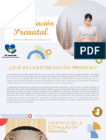 Estimulacion Prenatal 1er Trimestre