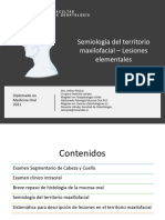 Clase 1 - Semiología Del Territorio Maxilofacial - Diplomado en Medicina Oral