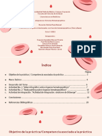 Práctica 1. Órganos Relacionados Con Función Hematopoyética