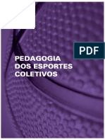 Capítulo de Livro - Pedagogia Dos Esportes Coletivos. SEDIS - UnB