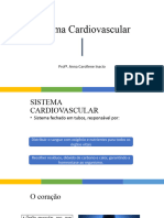 Sistema Cardiovascular 1