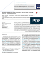 Directing Mouse Embryonic Neurosphere Differentiation Toward An Enriched Neuronal Population - Torrado 2014