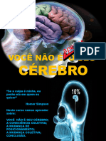 Você Não É Apenas o Seu Cérebro