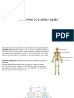 Osteologia Enf Nut Farm