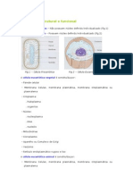 Biologia Celular