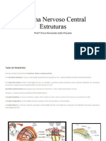 4+AULA+Sistema+Nervoso+Central+ +estruturas