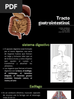 Tracto Gastrointestinal