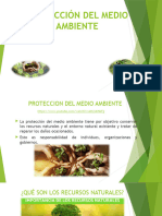 Proteccion Del Medio Ambiente