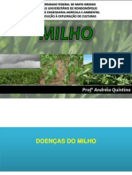 Aula 1 Milho Doenças