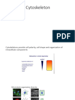 Cytoskeleton Presentation From IISER TVM
