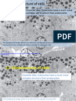 1.2 Ultrastructure of Cells Ib Biology Presentation