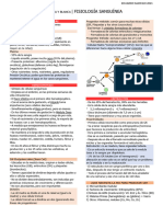 Endocrino Cuaderno Fisio