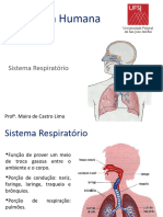 Sistema Respiratório