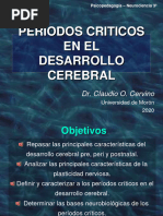 4 - PPT Desarrollo Cerebral y Períodos Críticos