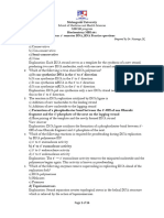 DNA - RNA Practice Q Solutions