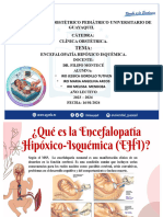 Encefalopatía Hipóxica Isquémica-1