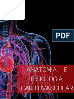 Sistema Cardiovascular