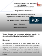 Fases Proceso Adictivo