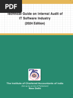 Internal Audit Technical Guide For IT Software Company