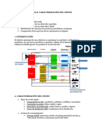 TEMA 8reteco