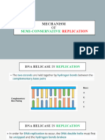 Mechanism of Semiconservative Replication