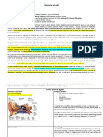 Otitis Externa Aguda y Crónica